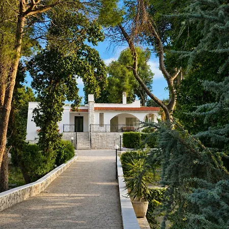 Rai فيلة